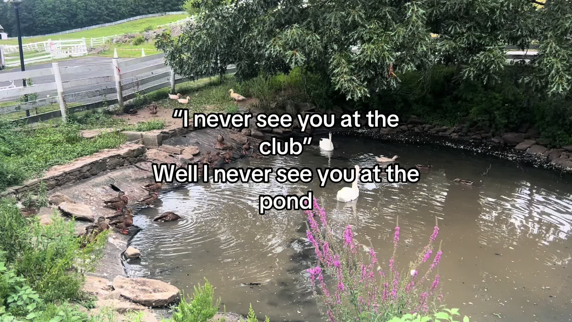 @The Cabana girl