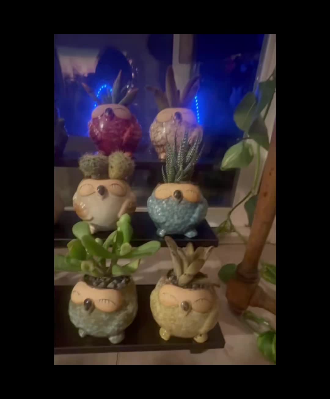 @thefloralreaper