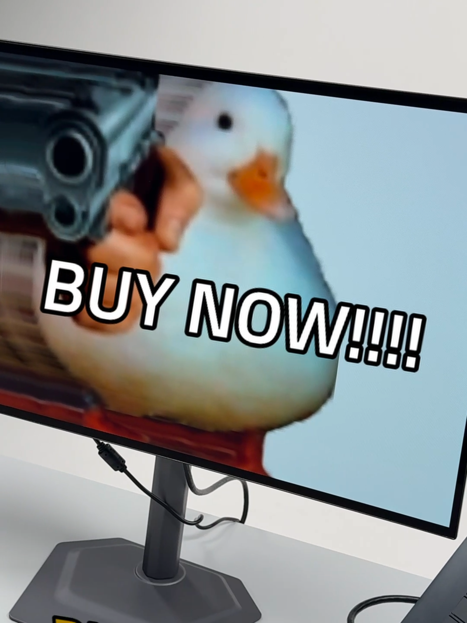 @AORUS