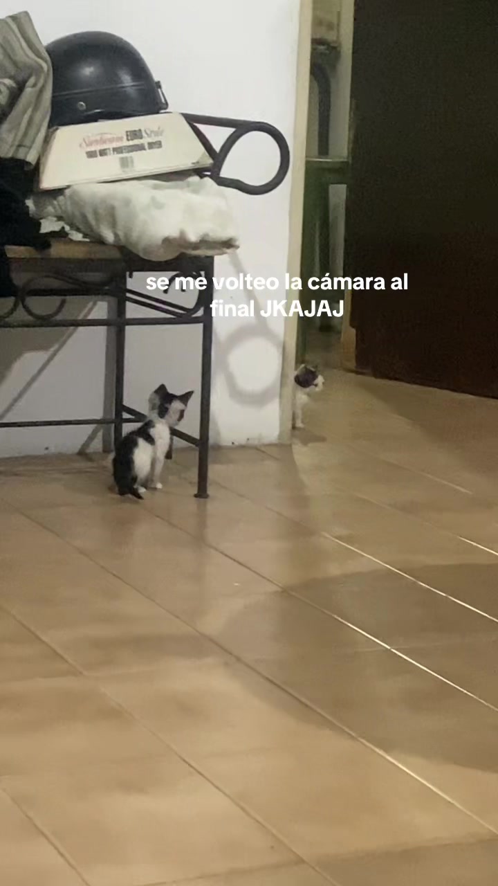 @Gen Giangiordano🦁