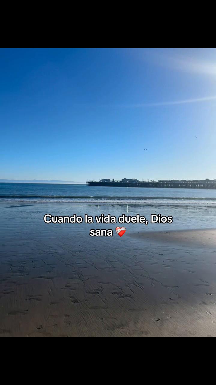 @🩷✨Graxiie ✨🩷