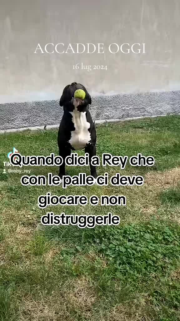 @❤️Roberta & Rey ❤️