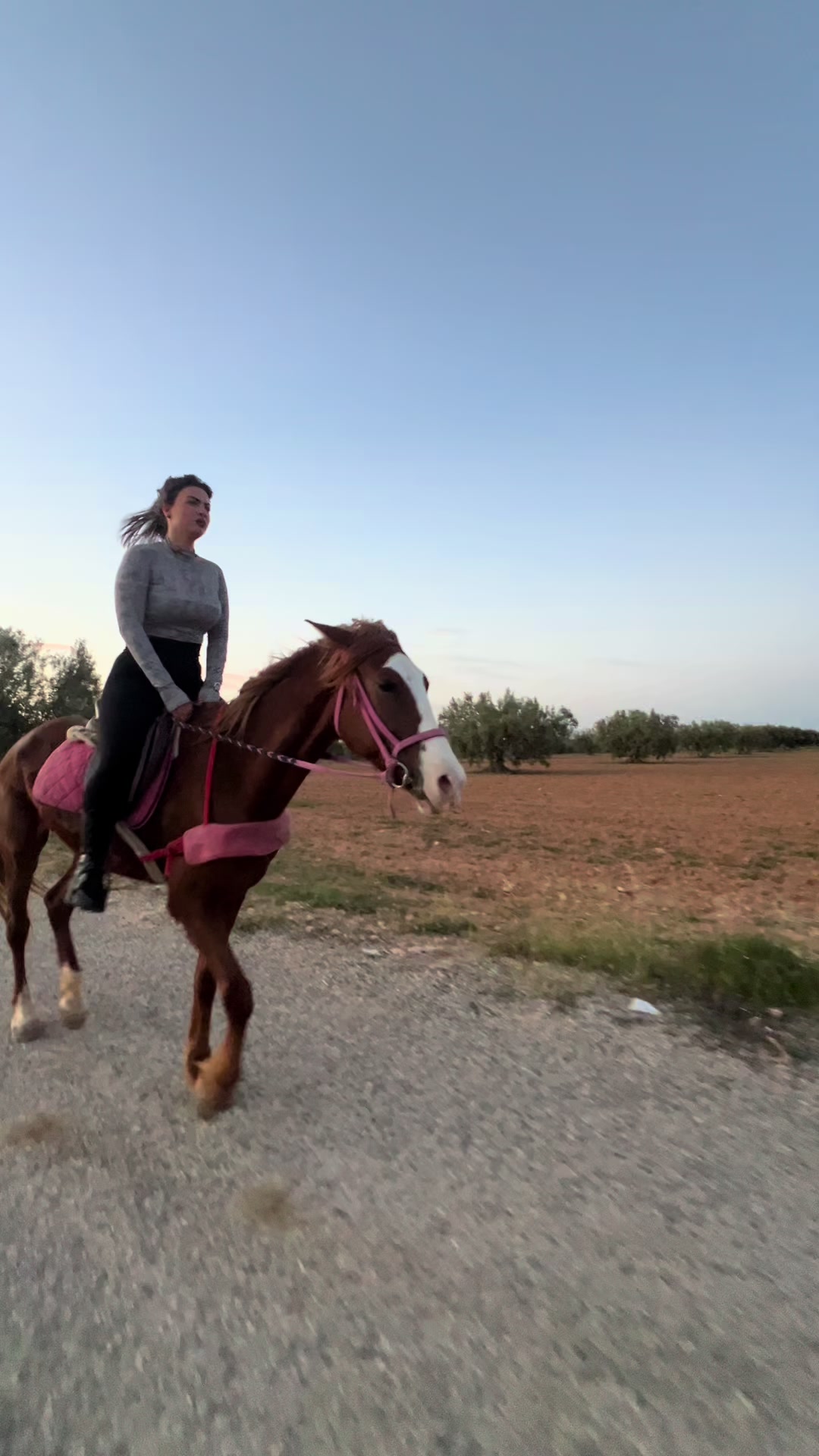 @Oumayma Rekik