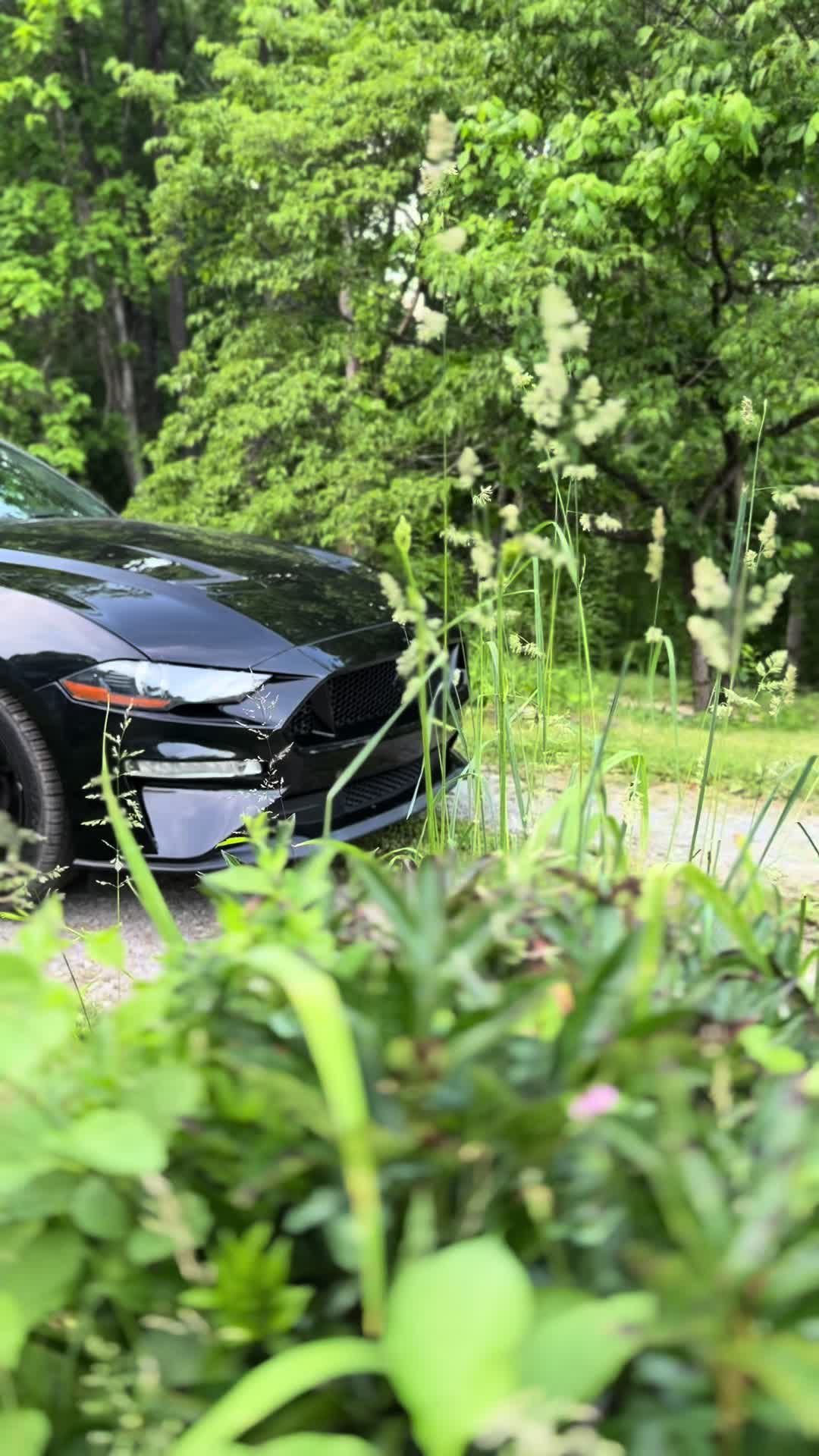 @that_5.0