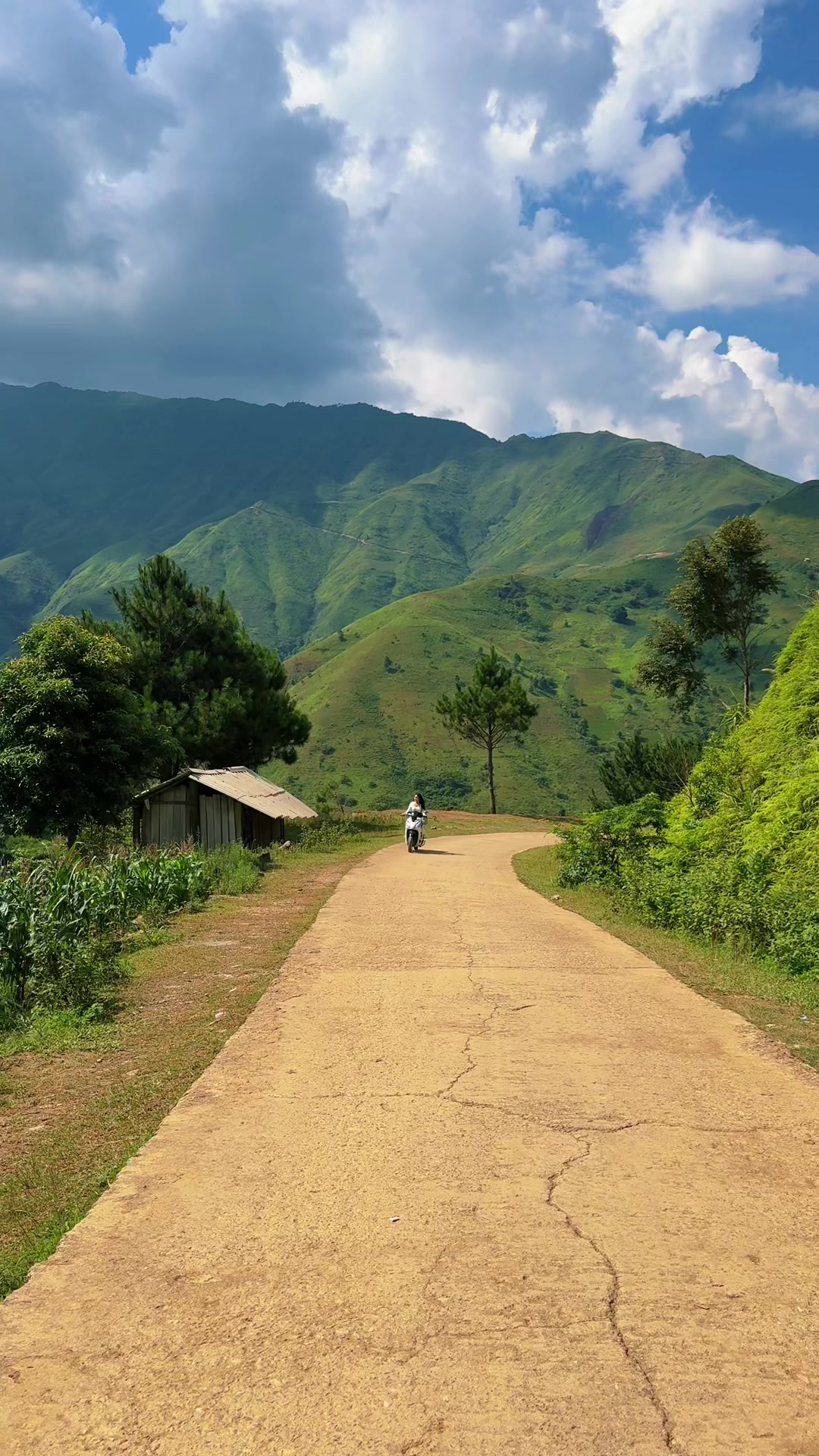 @Mây Lang Thang 🇻🇳