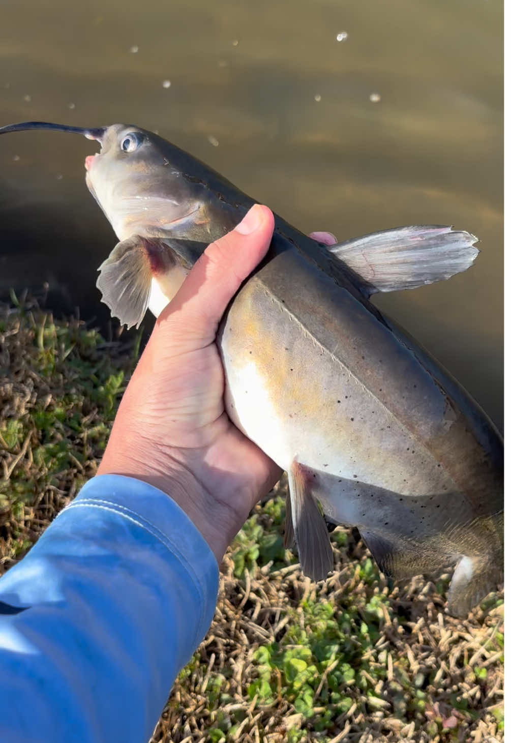 @WHKfishing