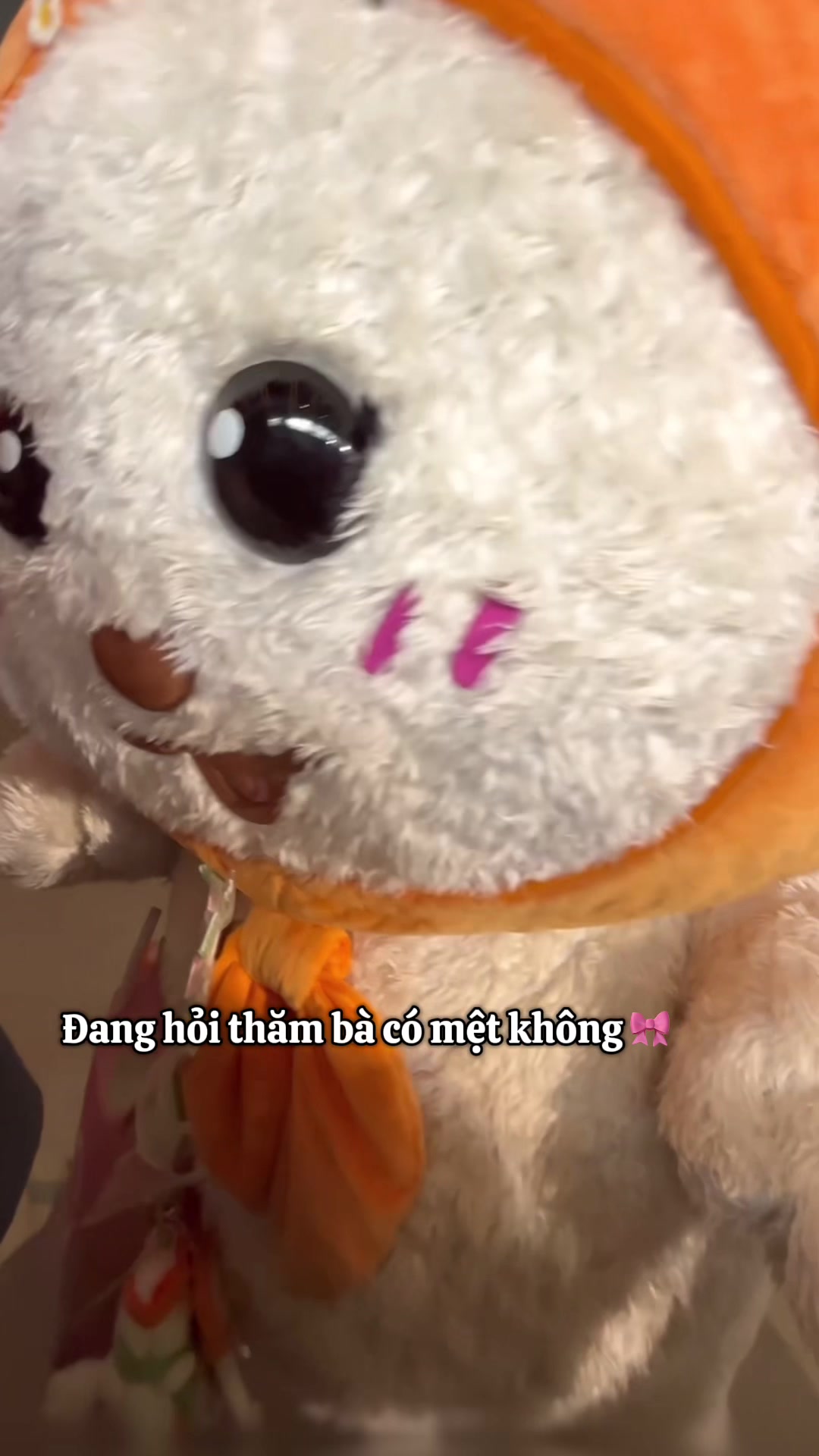 @Mjj
