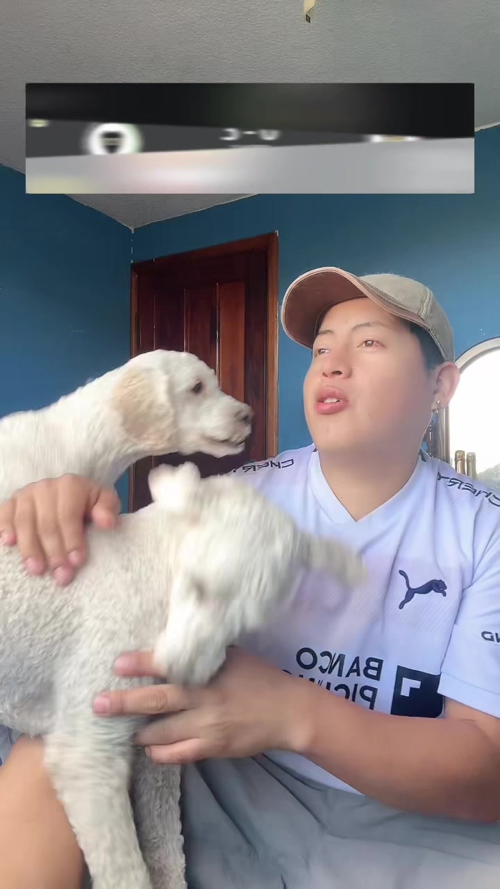 @Lumi.real