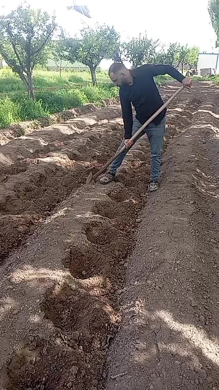 @Ramazan Şimşek