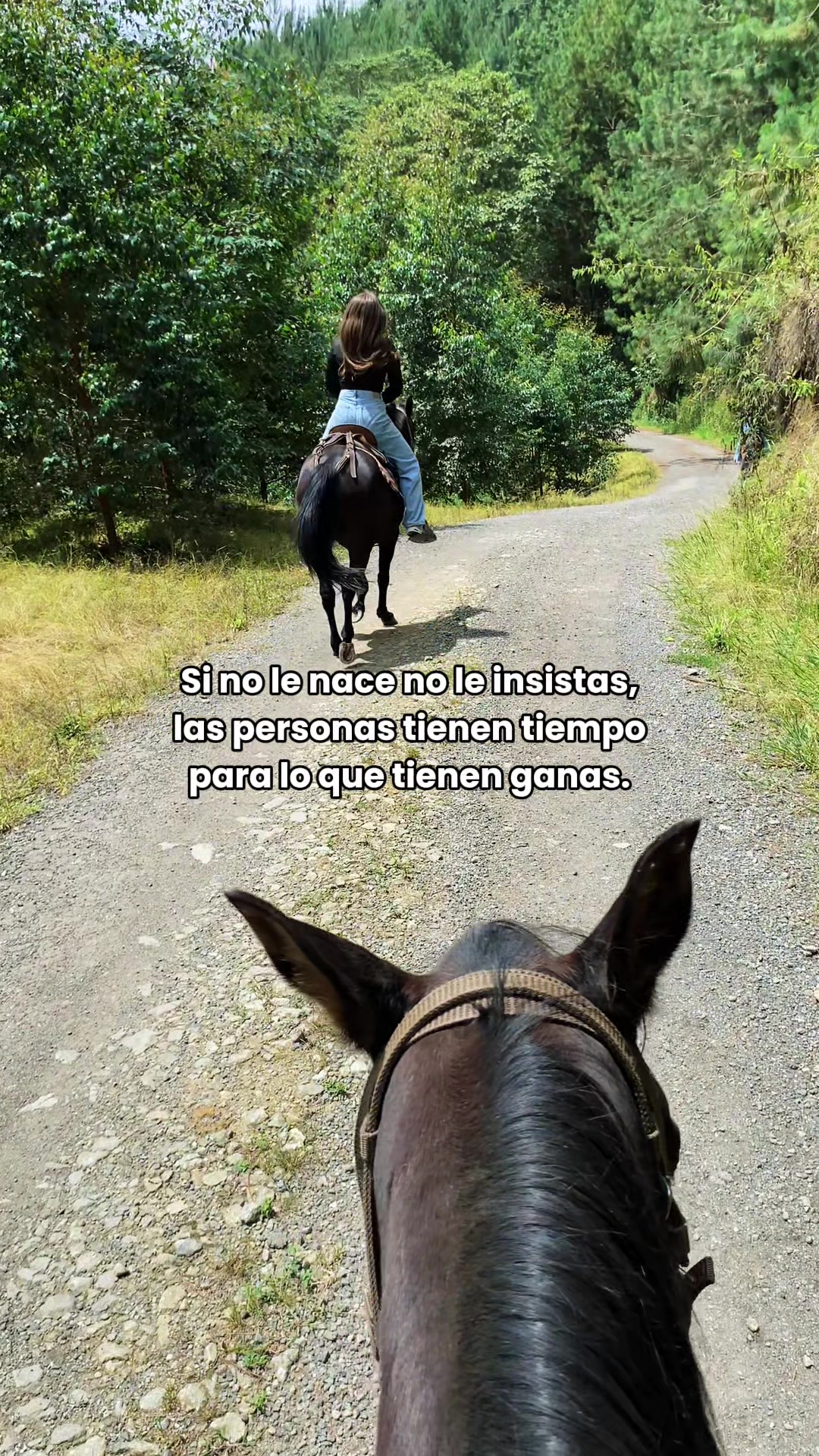 @origen la linea