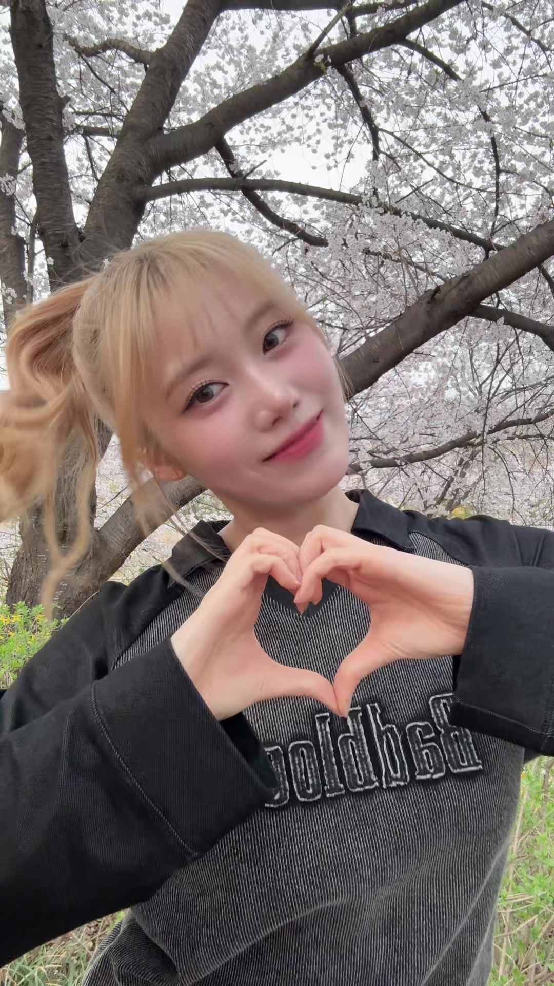 @ํ์๐ชฝ