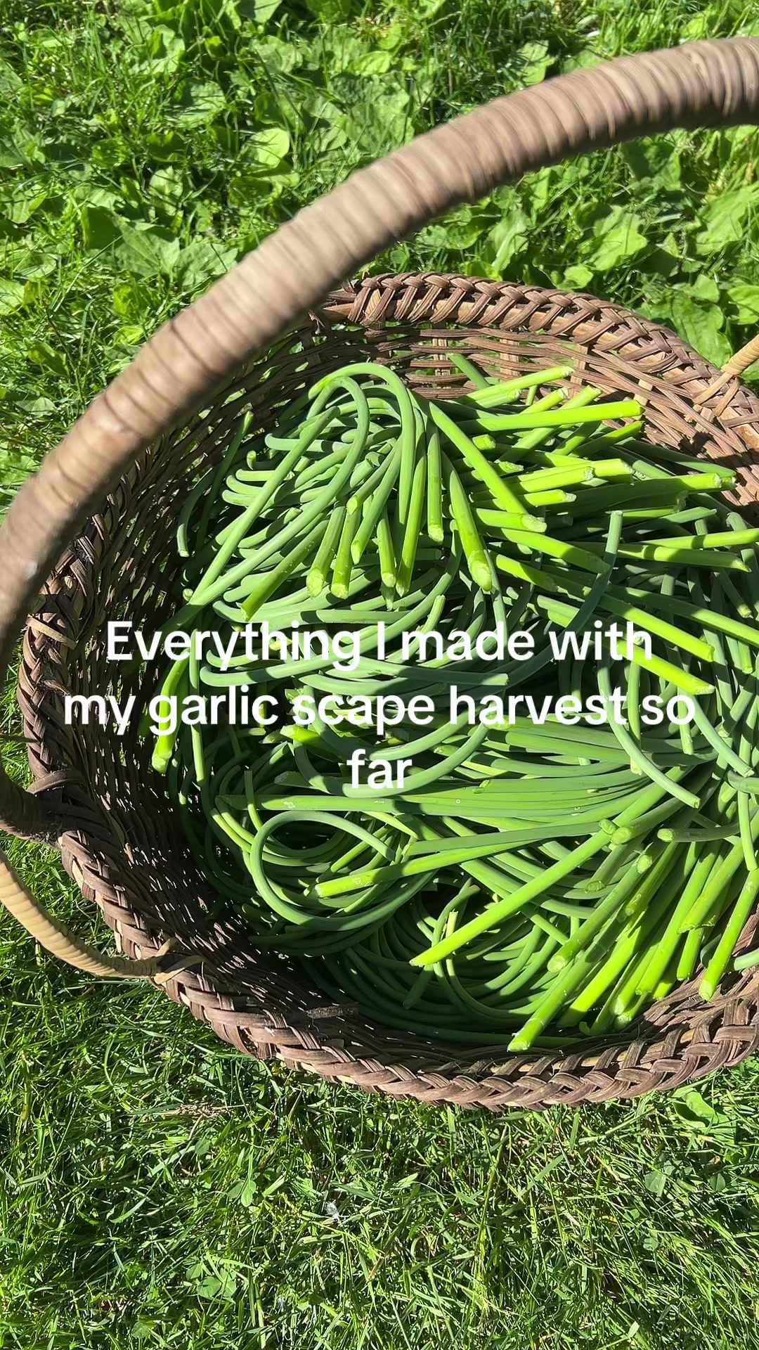 @SimplyLivingHomestead