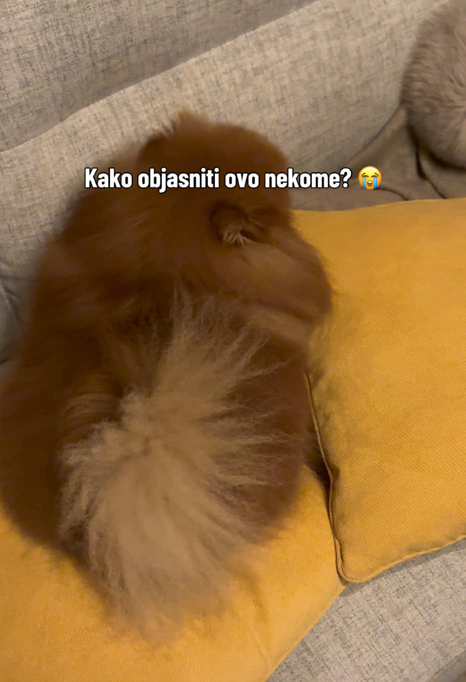 @saratkd7