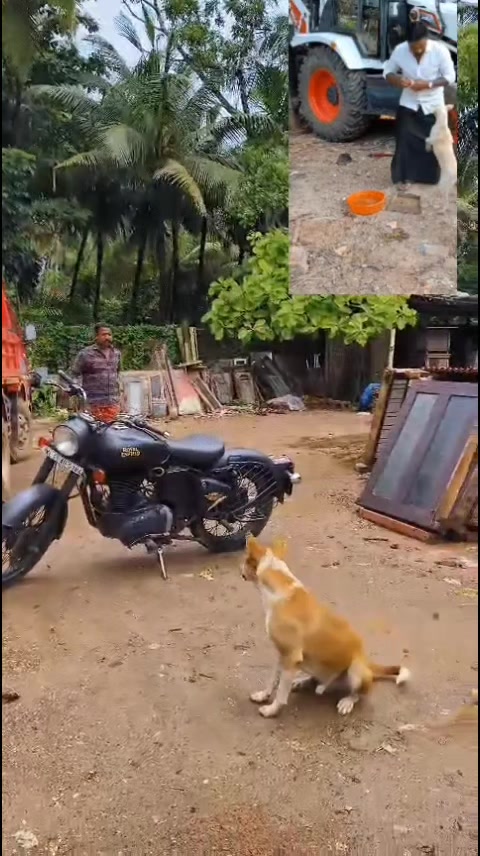 @ബിജു. തിരുർ. ✌️✌️✌️