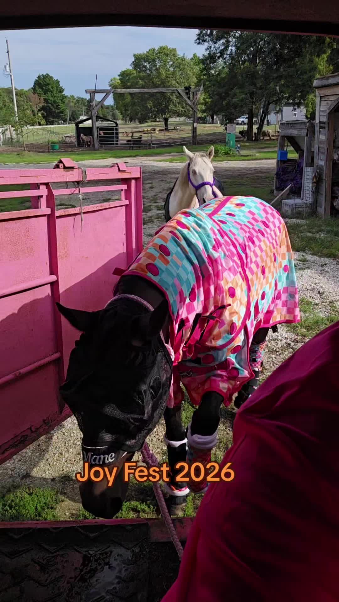 @Small Town Farm LLC