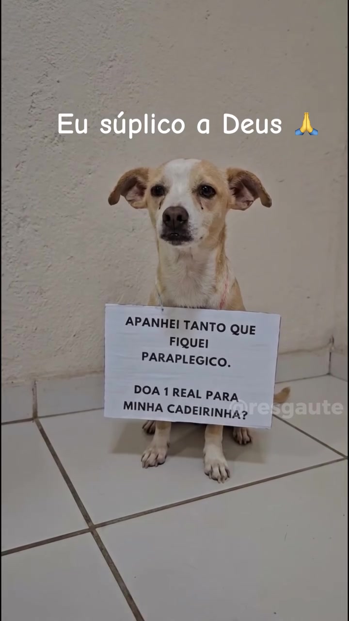 @ABRIGO DA VÓ