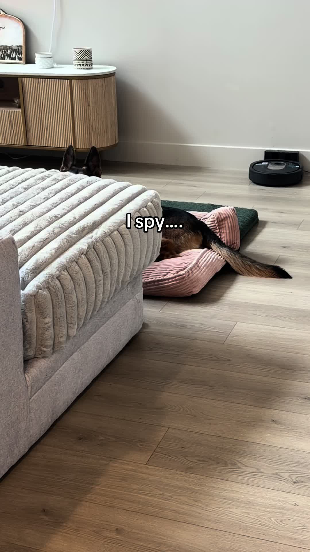 @Rory The Not-Working GSD