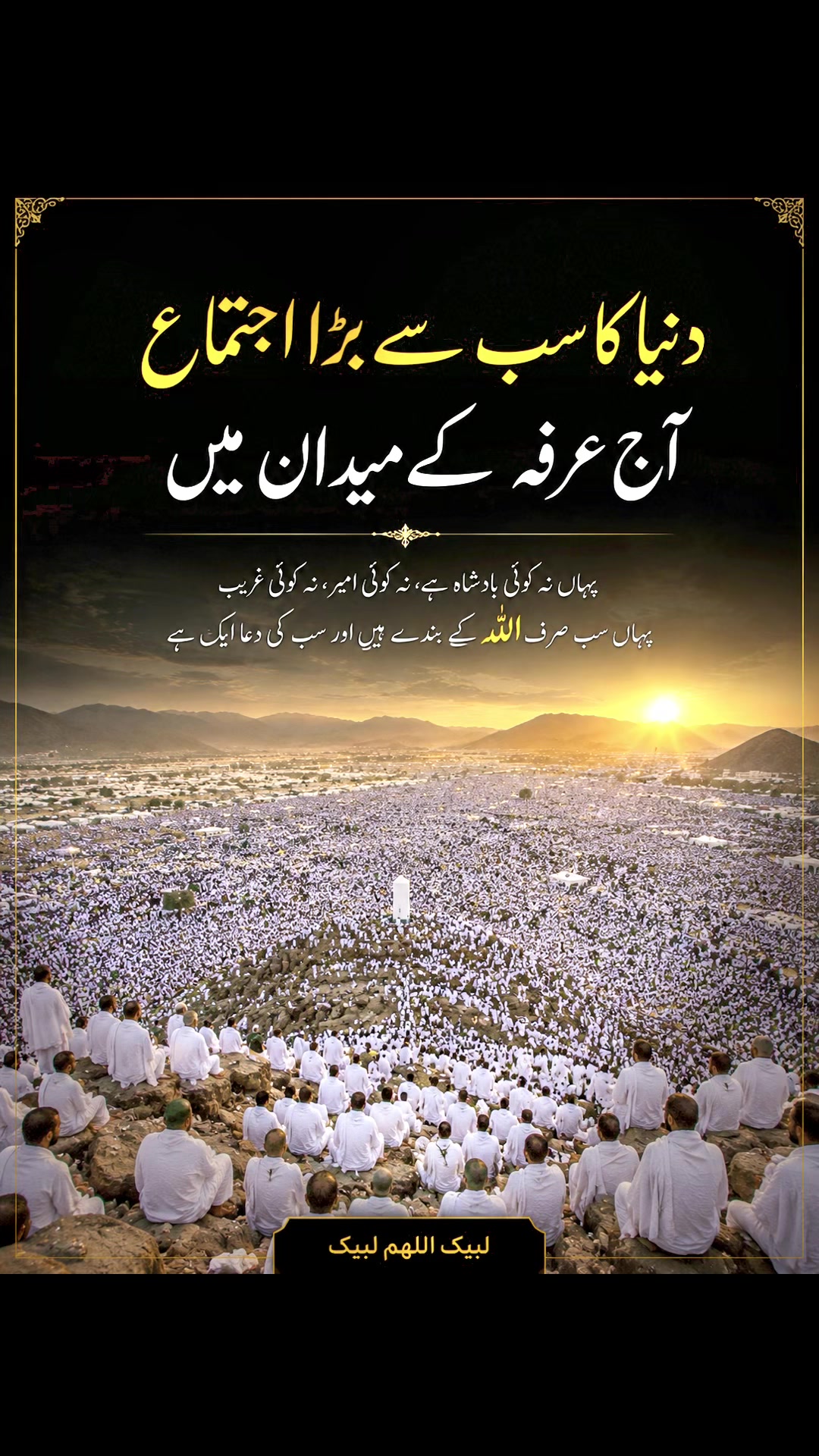 @habibausa1234