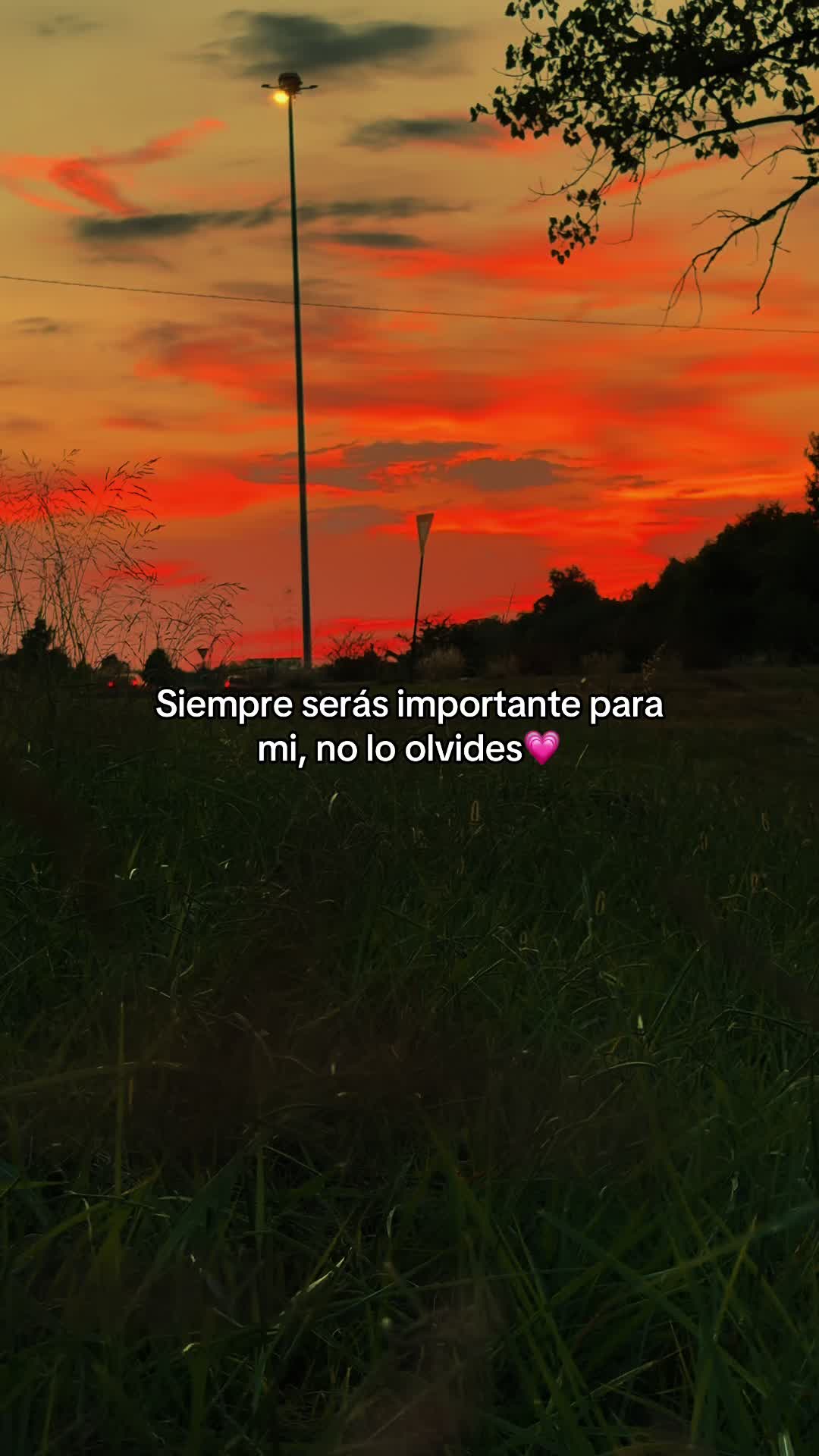 @rolitas502🇬🇹