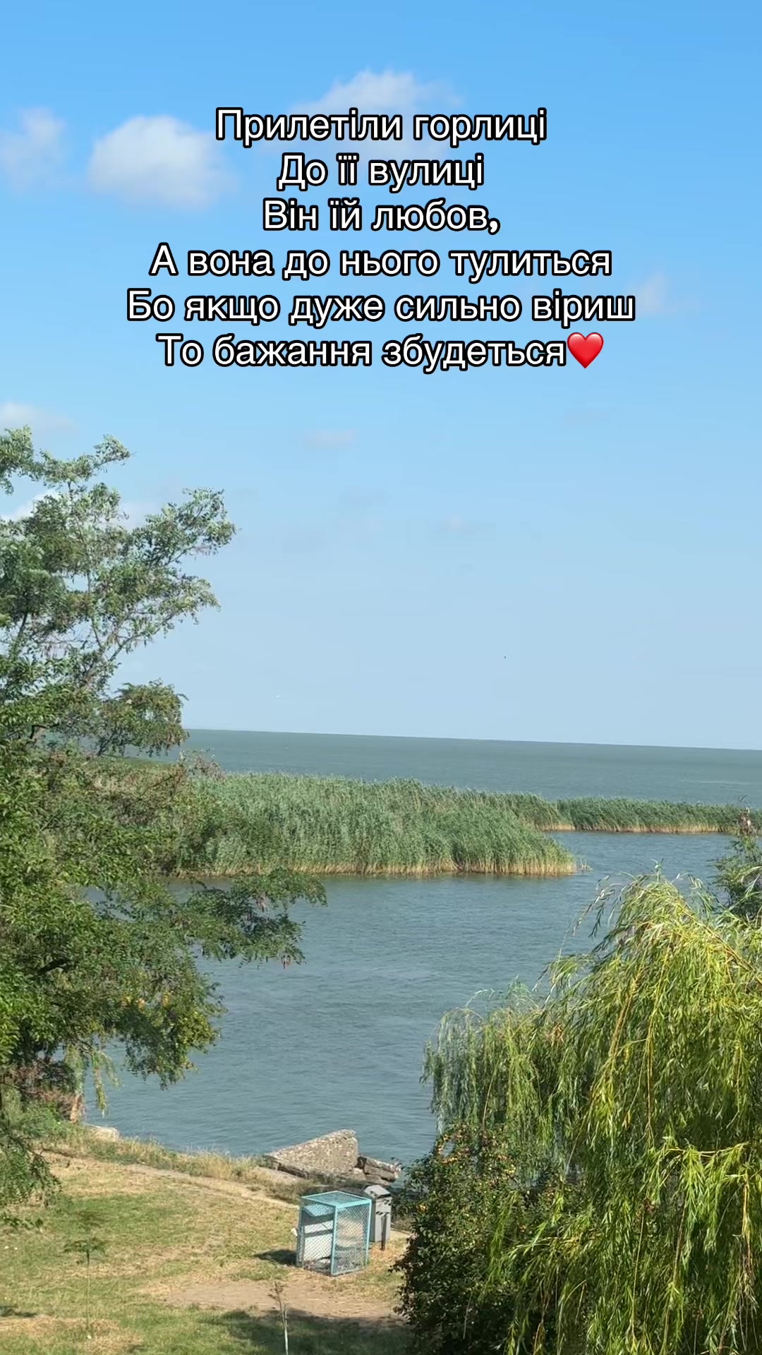 @Галинка 🧸❤️