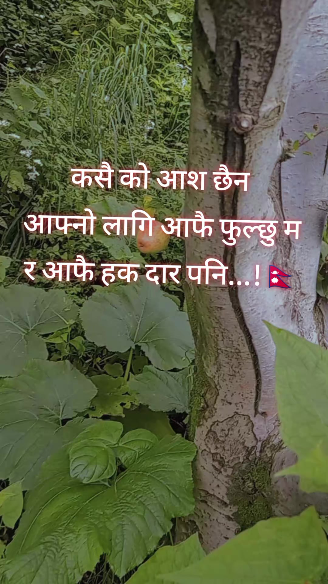 @ᴅʜᴀɴ ʙᴅʀ OFficial🇳🇵