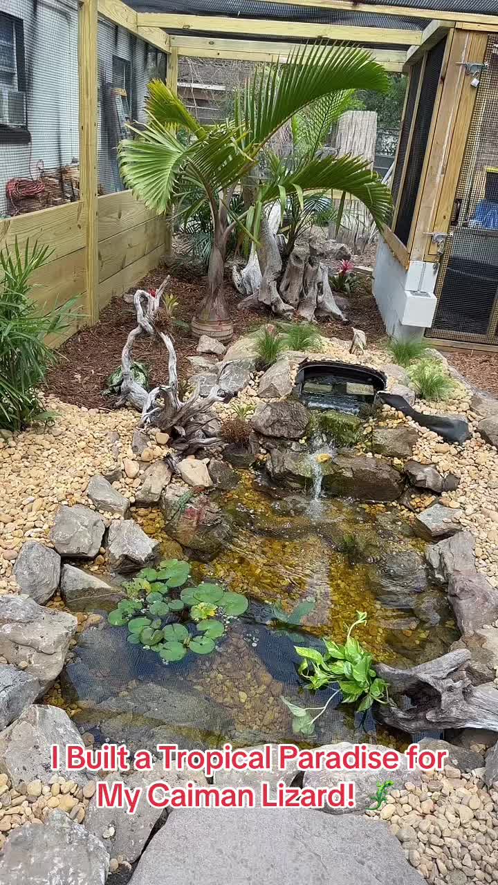 @Exotic Reptiles Viva La Raza