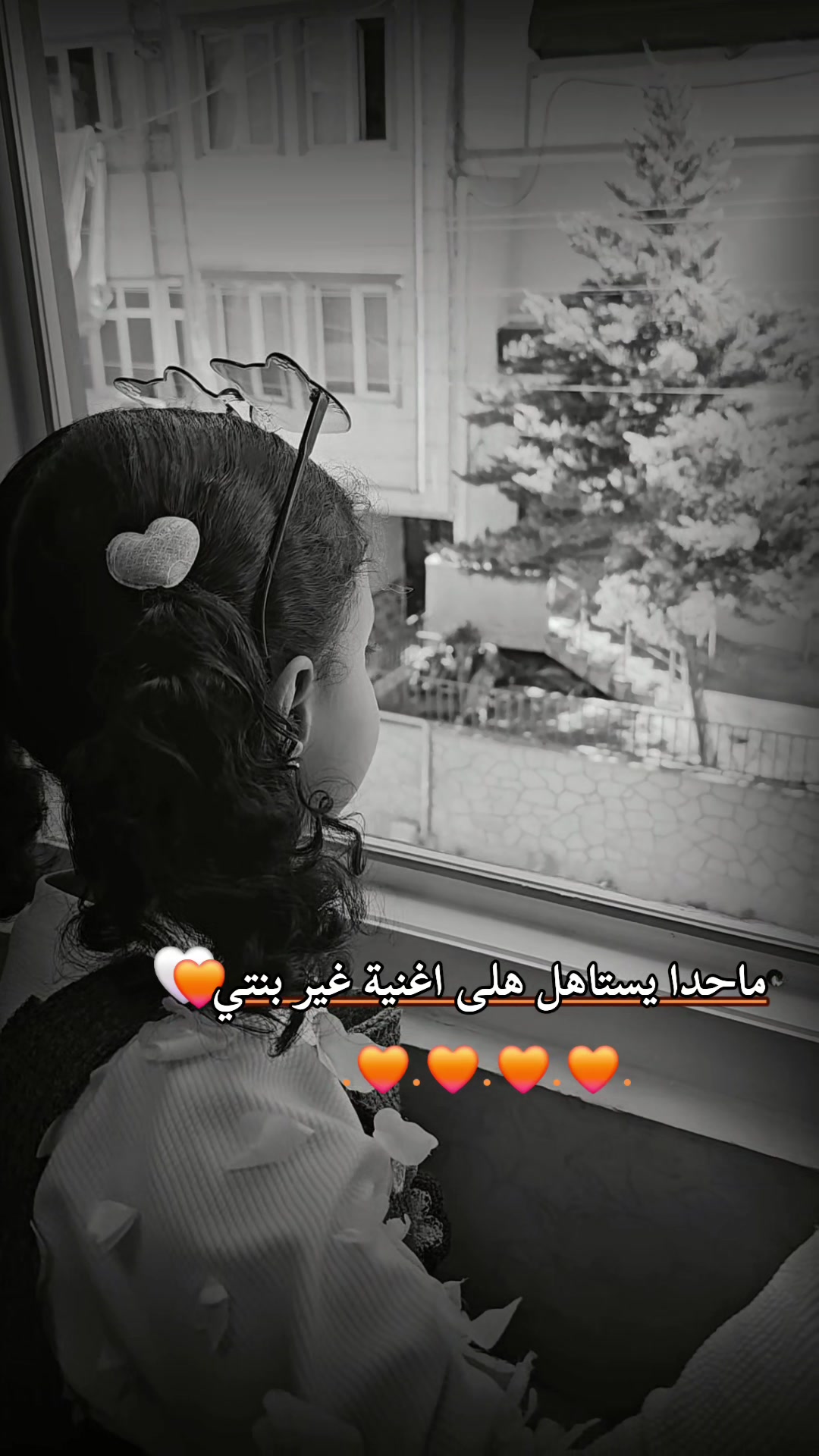@أموش/𝒜𝓂𝓊𝓈𝒽𝒽