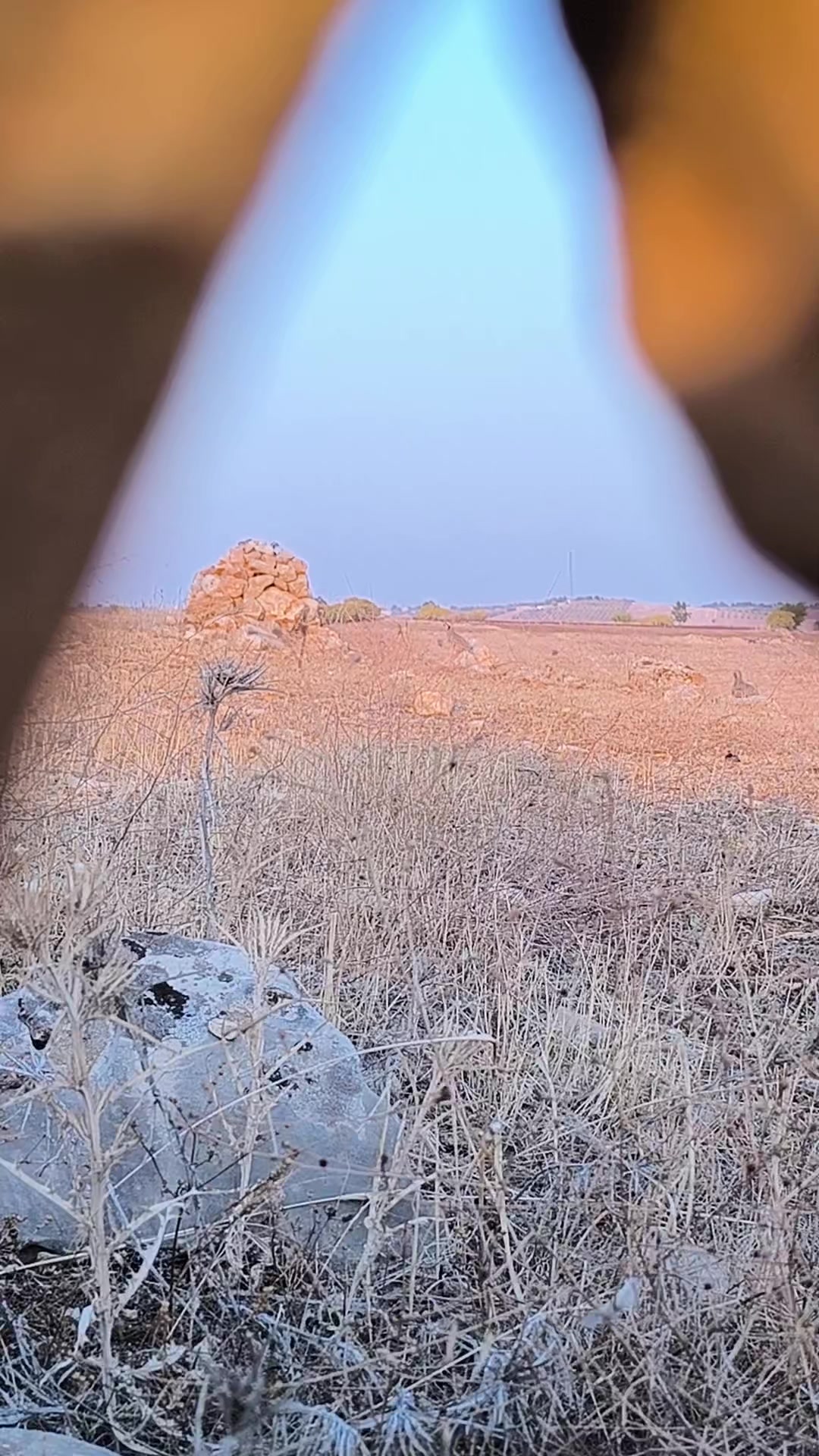 @Ğaloo