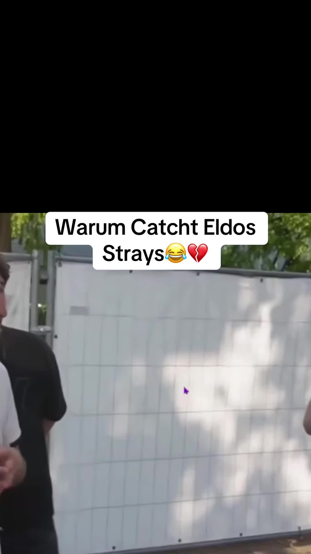 @SJ STREAM HIGHLIGHTS