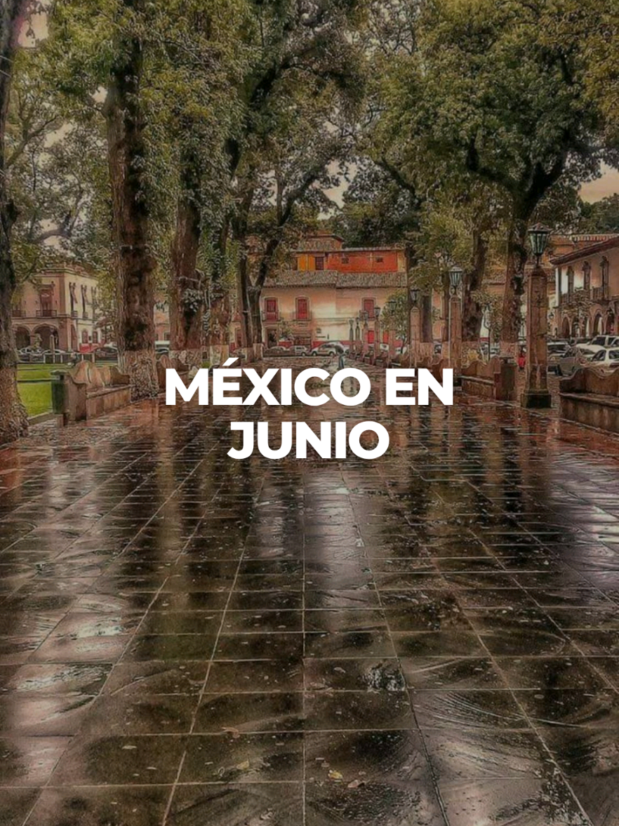 @M&eacute;xico Traveler