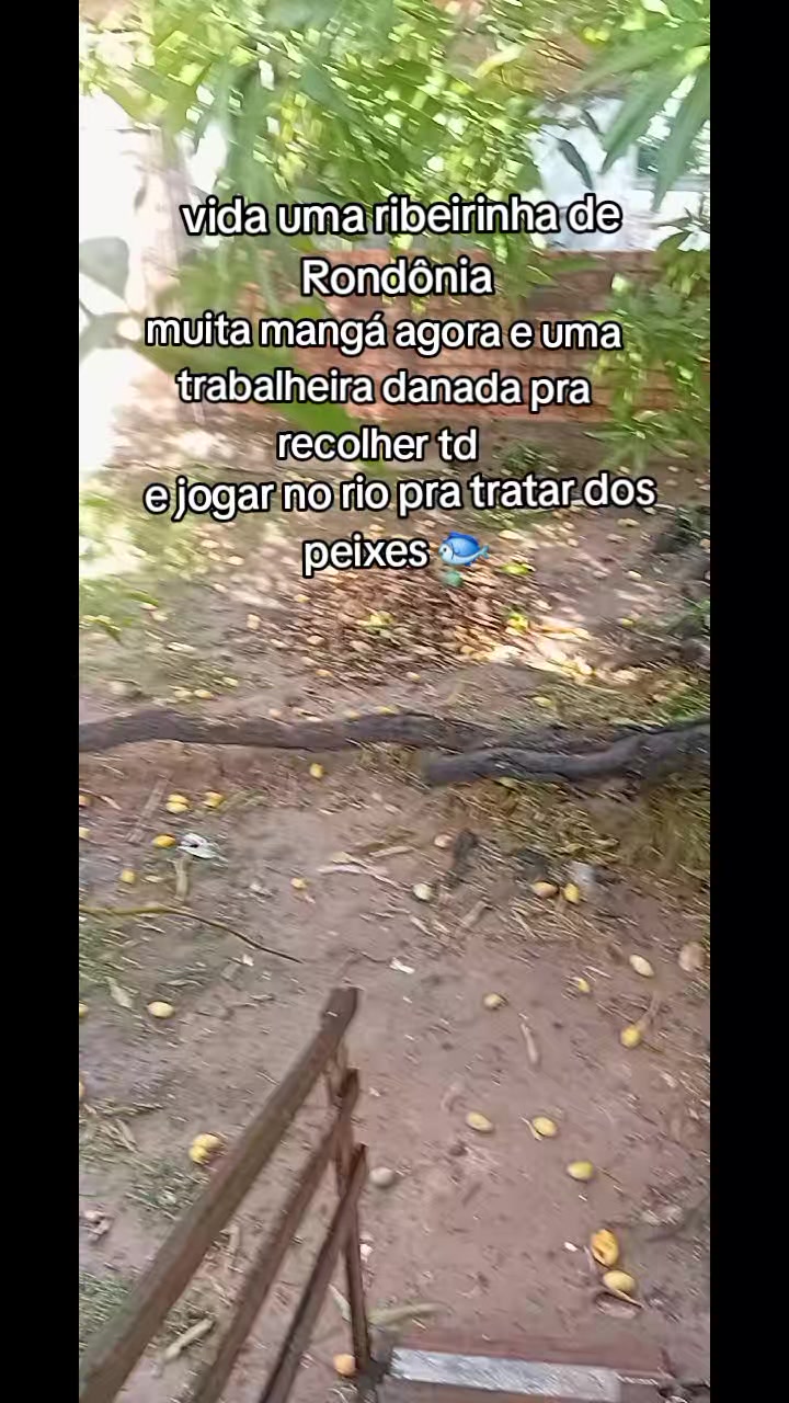 @juju..ribeirinha..de..Rond&ocirc;nia