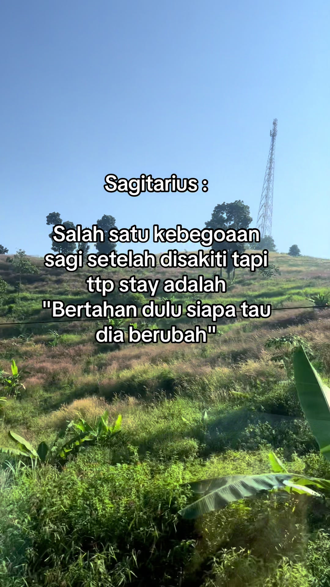 @Your Zodiak Mate