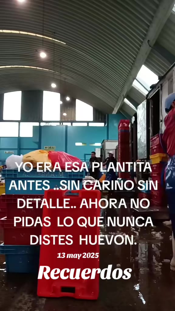 @Giovanna ❤️