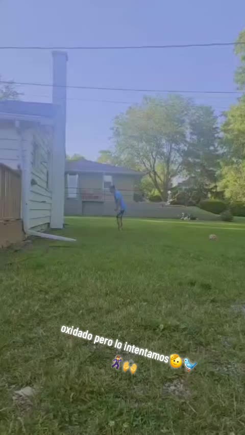 @wilerijose
