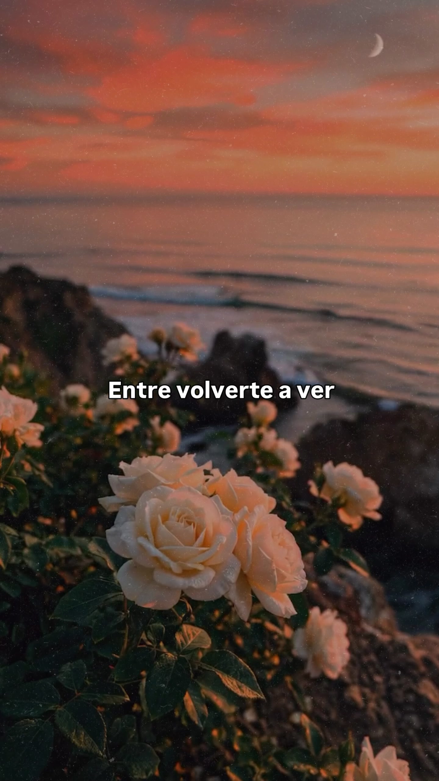 @Thyago Rojas