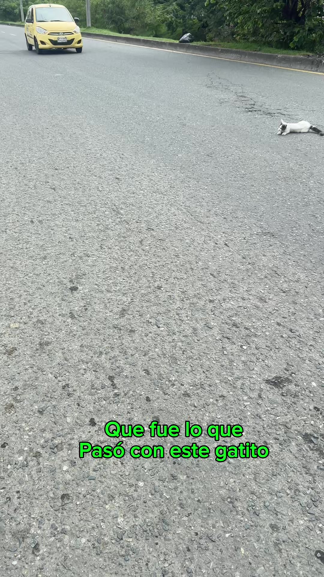 @el_gatoescobar