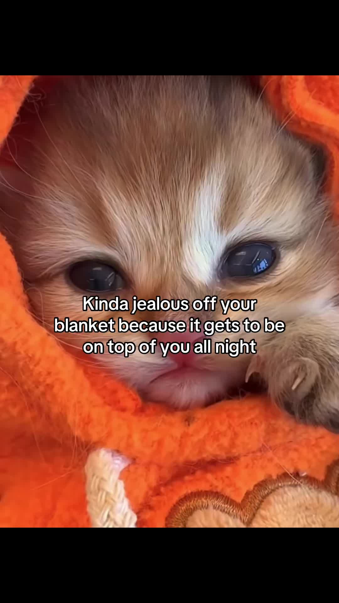 @Molly