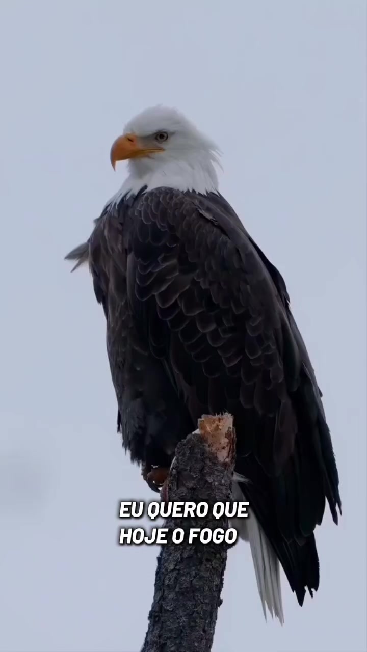 @Sou tiktok