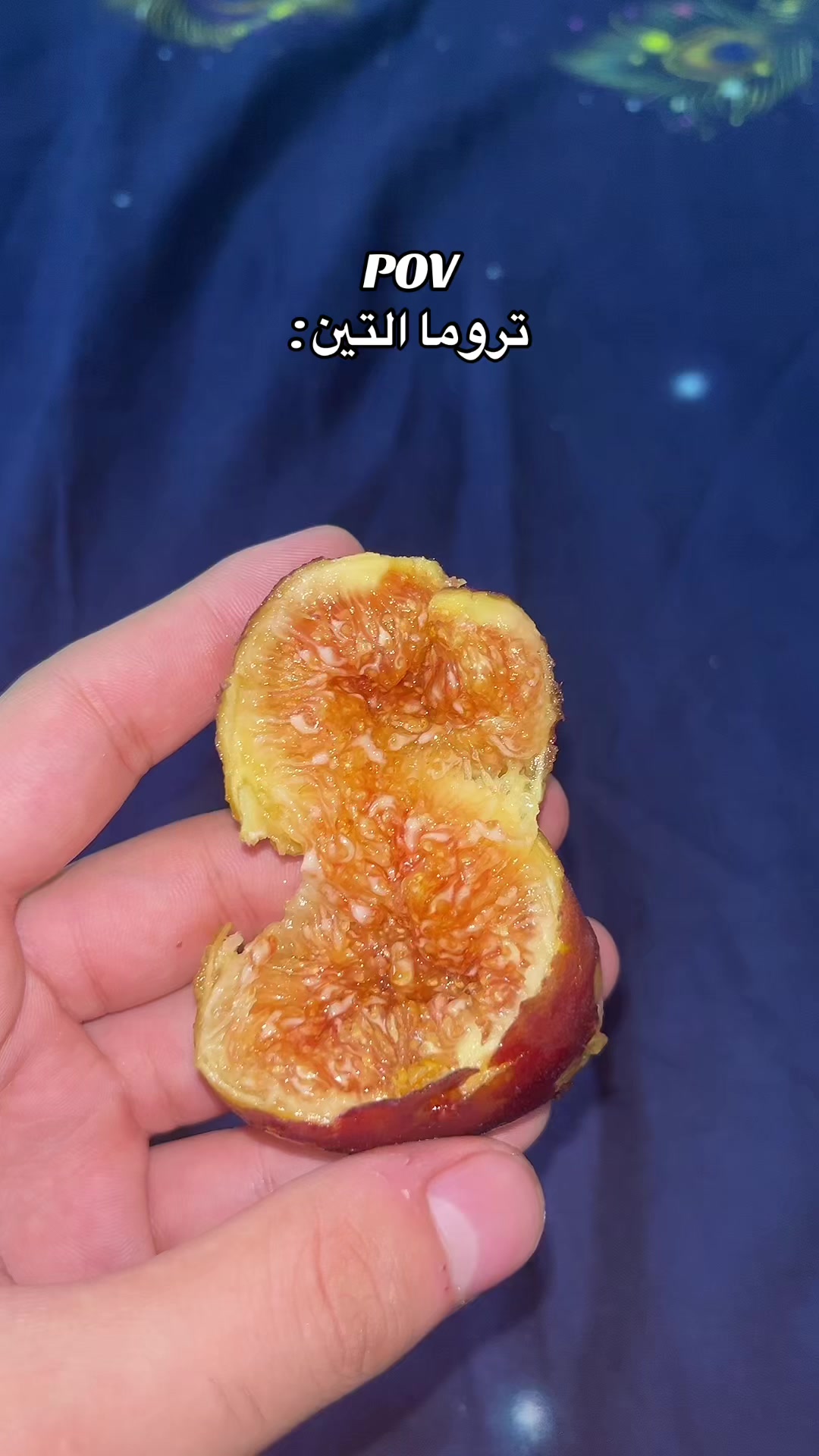@د/ عشري