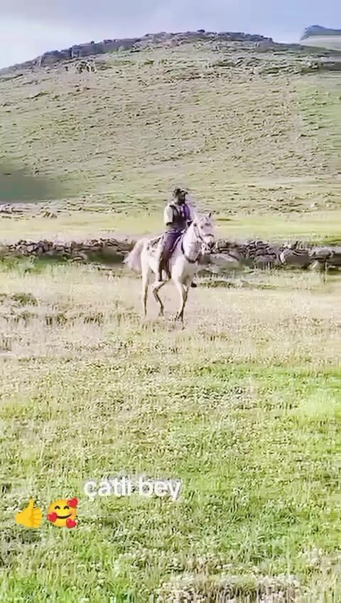 @&ccedil;atlı şaho