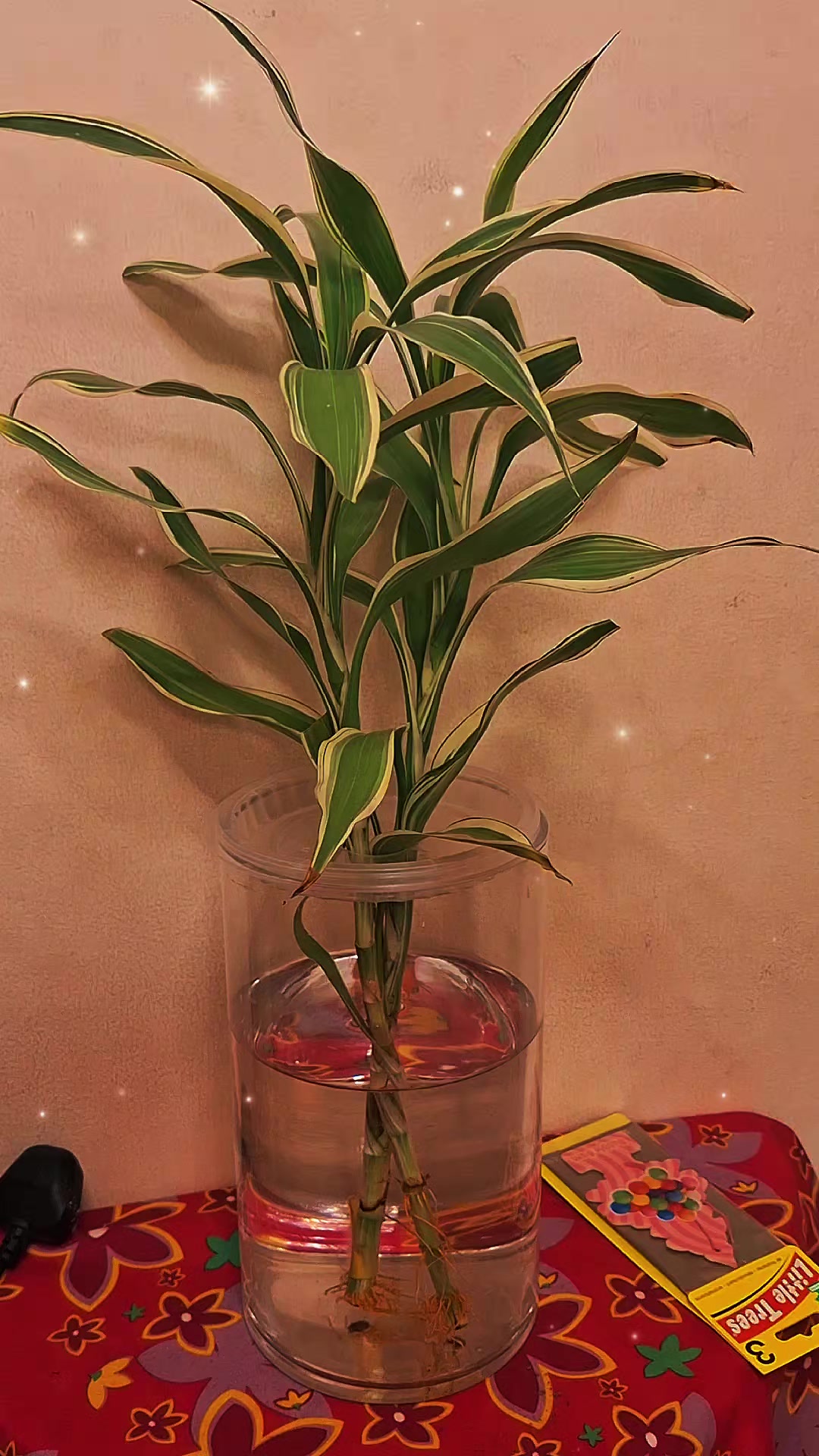 @She.Bh๐ง๐ญ๐ต๐ญ๐๐๐ฉบ๐๐
๐