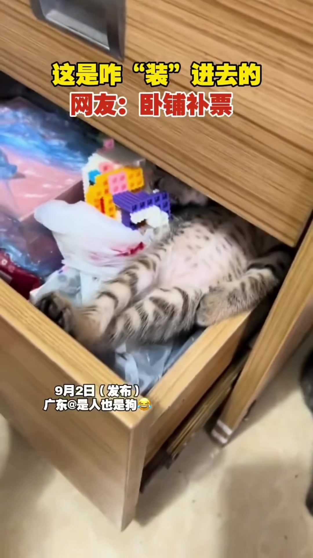 @中国蓝国际