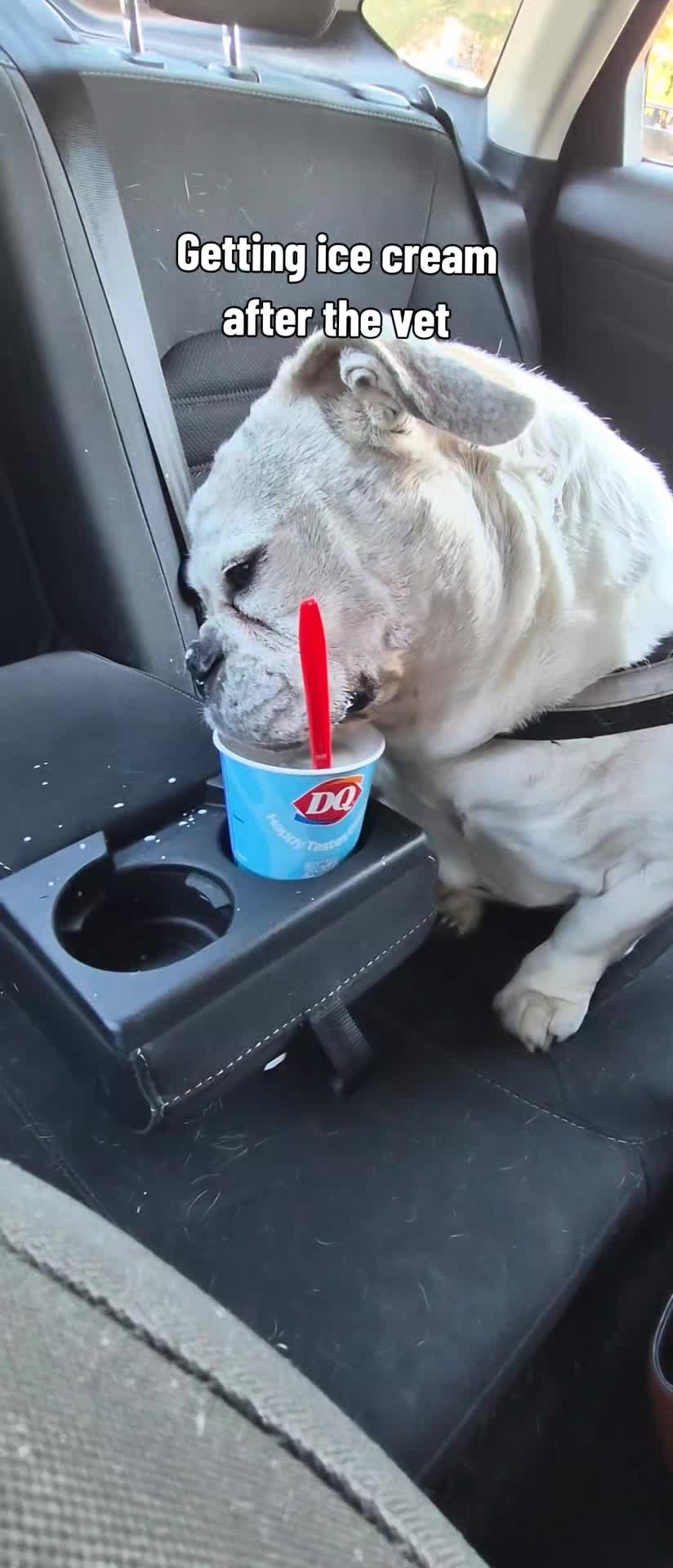 @Nealashitposts