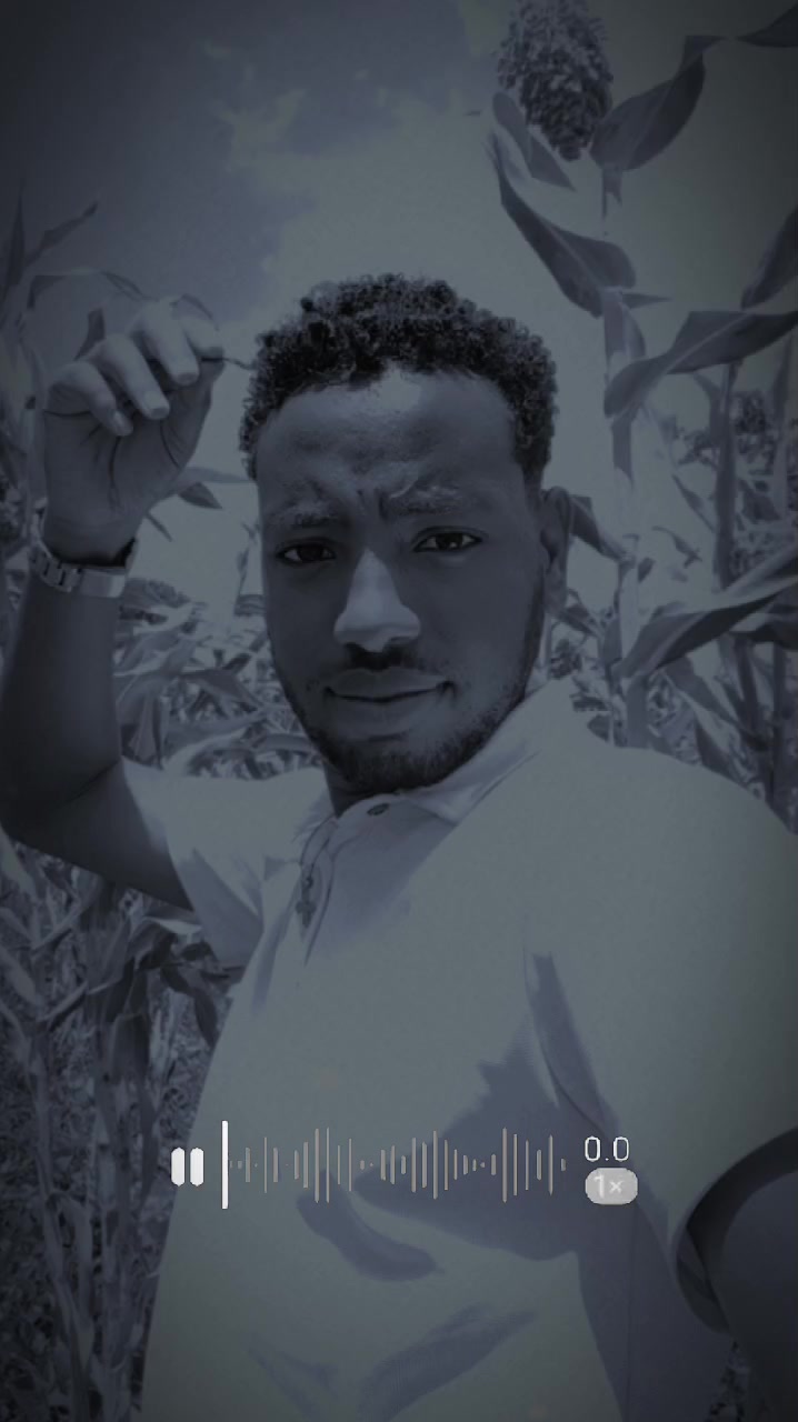 @kano mucaa waqayyoo
