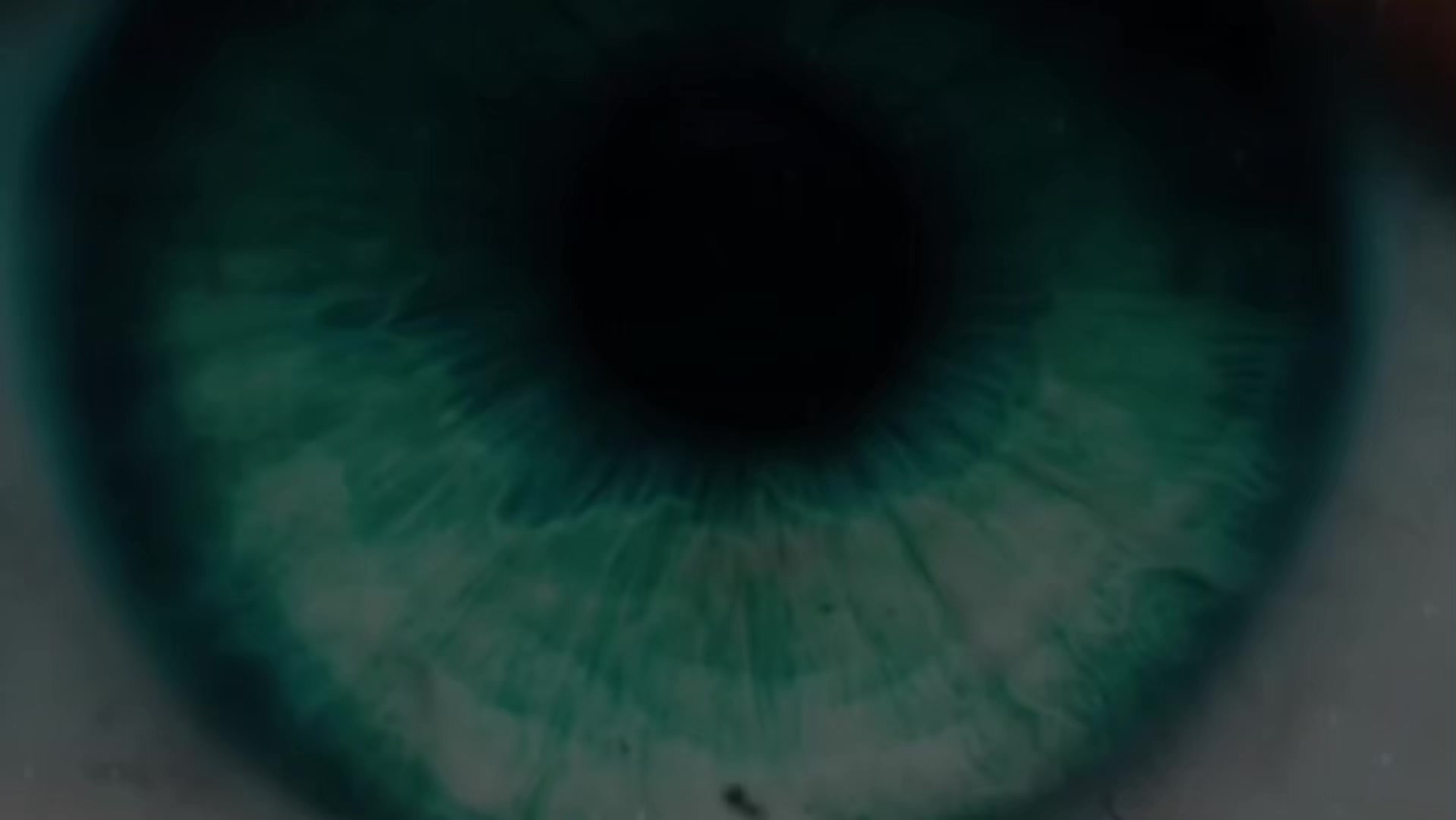 @𝙃𝙞𝙣𝙯