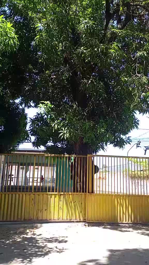 @jose_niltondossantos