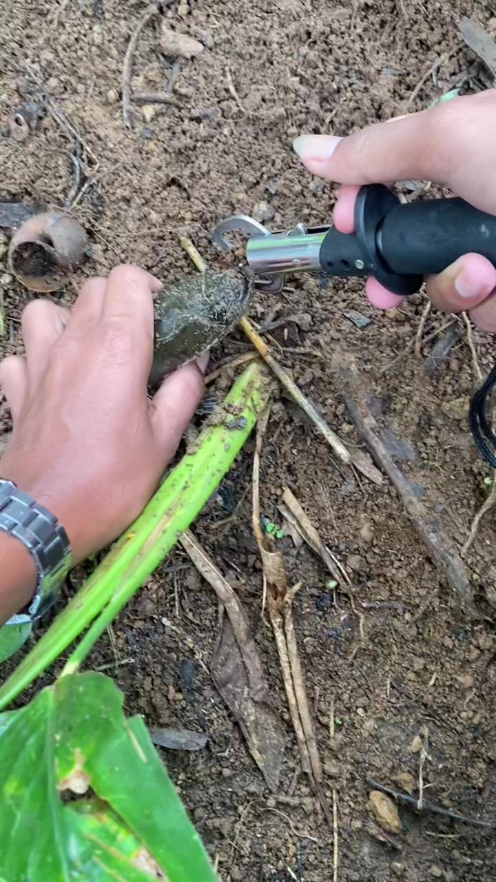@stecu Fishing