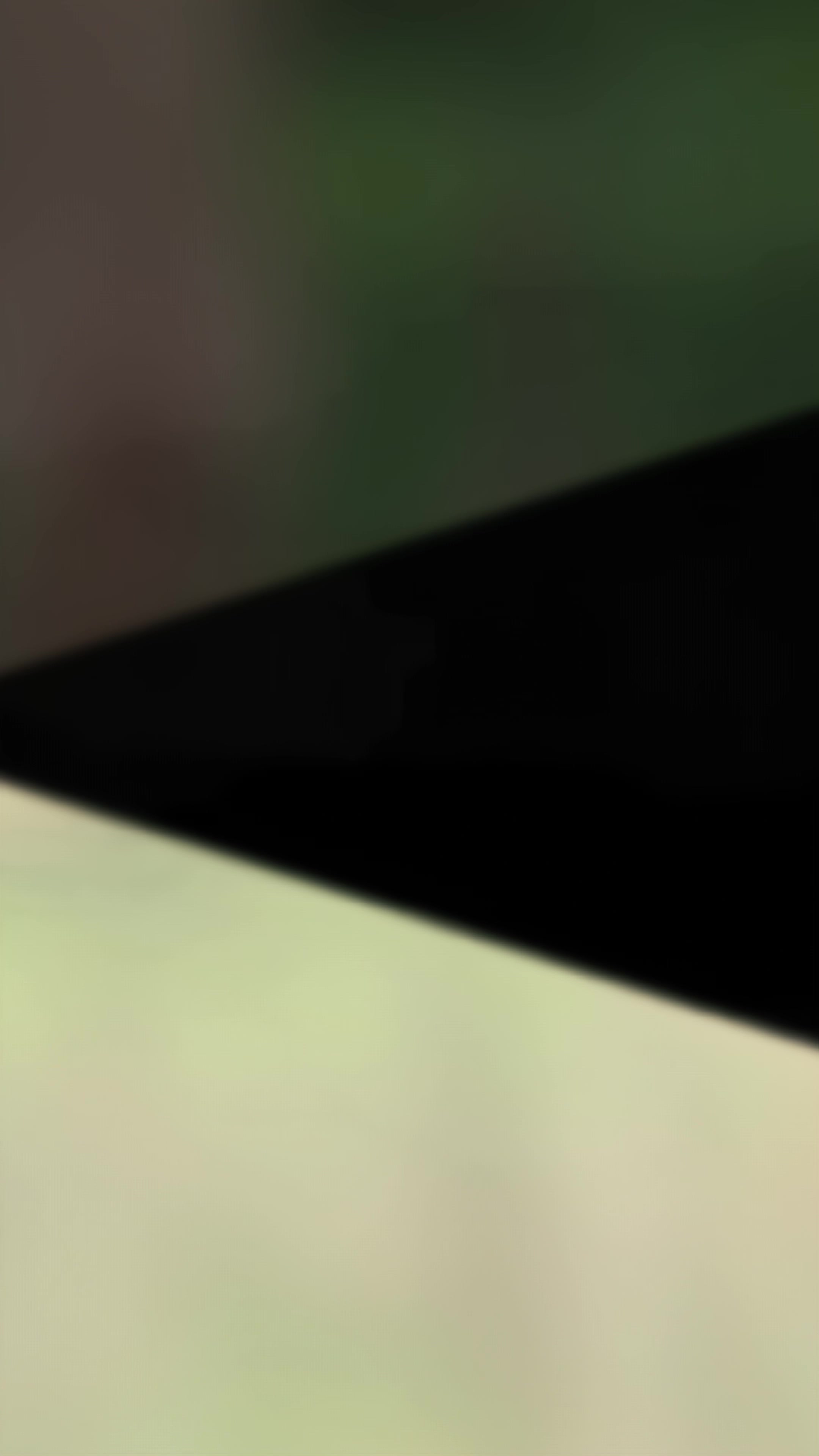 @T A N I M