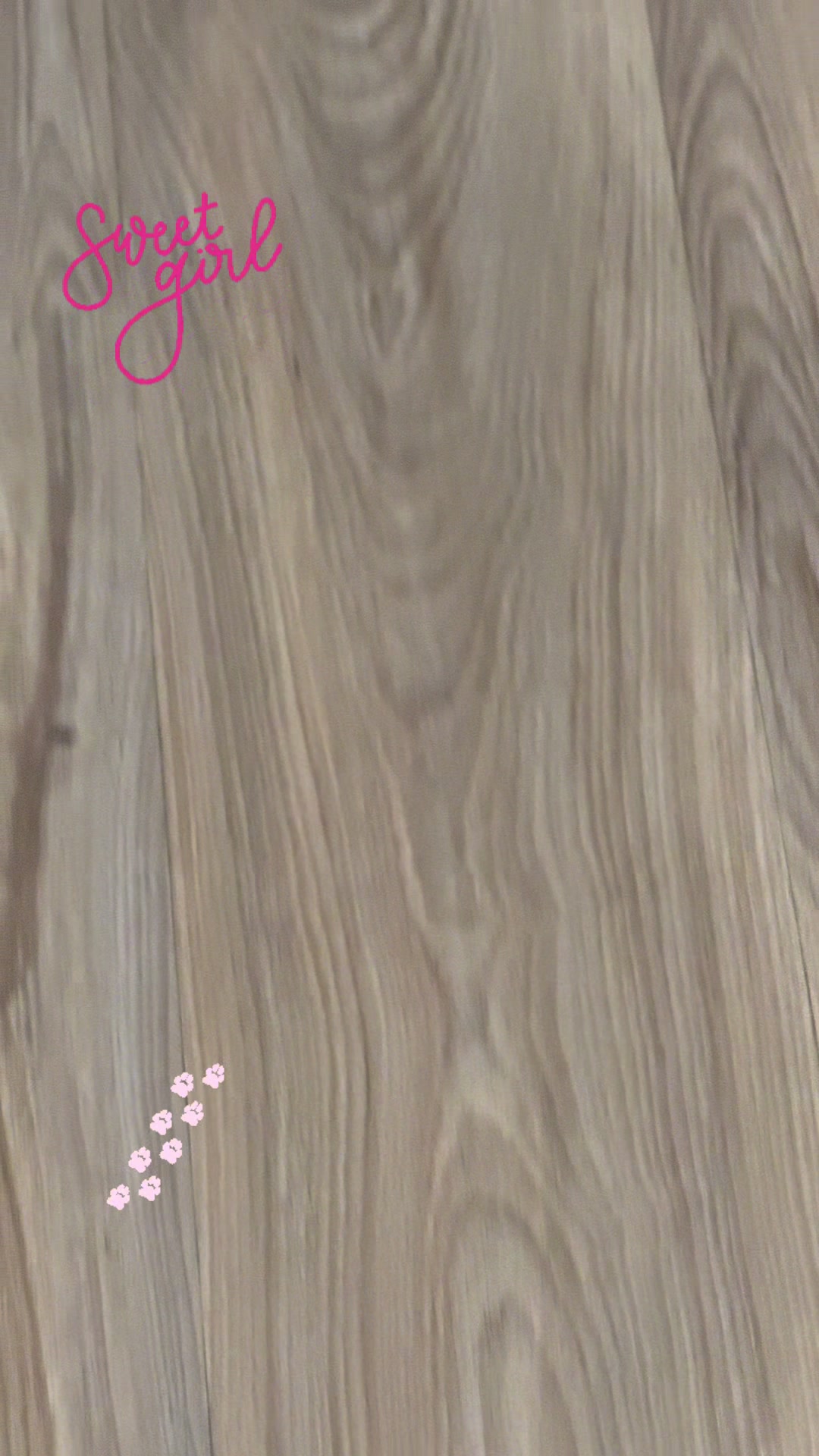 @Puppy Mynnie (Podlee + Cogi)