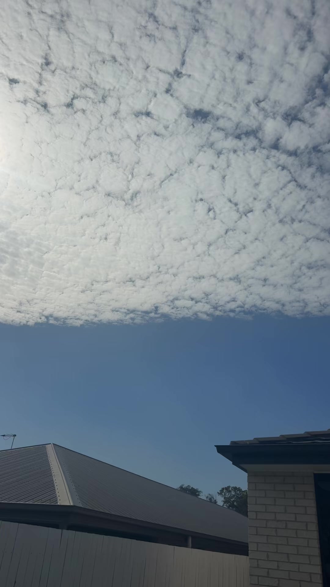 @بهار جهان 🌸